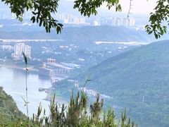 -铁山坪森林公园