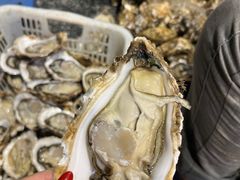 -蚝抵食·湛江生蚝(湾北路店)