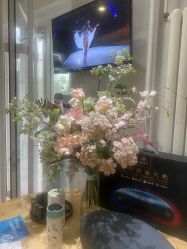-薇薇安花系SPA