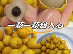 -万象汇