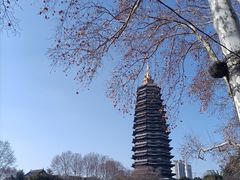 -红梅公园