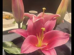 -喜湘宴·精致湖南菜(和平西桥店)