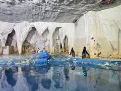 -太平洋海底世界