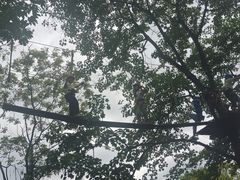 -芦仙山景区-飞越丛林探险乐园