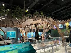 -国家自然博物馆