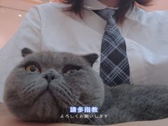 -极木²邸 人与宠物·互动社区