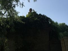 -白洋淀景区