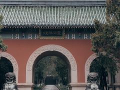 -灵谷景区