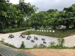 -广东惠东海龟国家级自然保护区