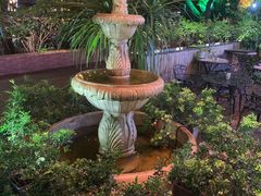 -more than meow吴止猫主题餐厅(承德 中船汇店)