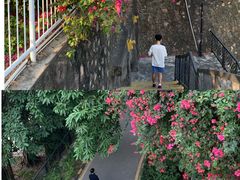 -小南山公园