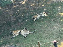 -深圳野生动物园