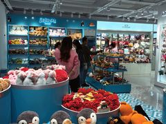 -JOYCODE(西单大悦城店)