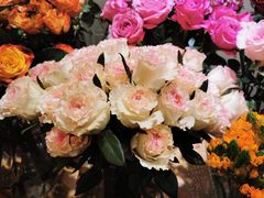 -双季花艺园艺市场(浦东店)