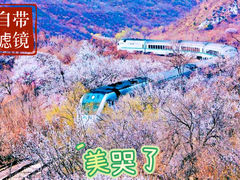 -居庸关长城