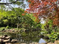 -秋霞圃
