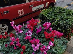 -海港城