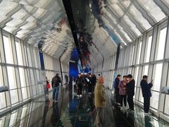 -上海环球金融中心云端足球盛典