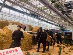 -兰陵国家农业公园