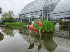 -南山植物园