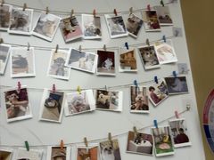 -瑞派康怡24h宠物医院·犬猫医疗中心·微创绝育(瑞景分院)