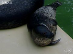 030320094641-绿色时代大酒店