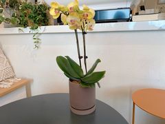 -LAB COFFEE来杯咖啡(浦仓路店)