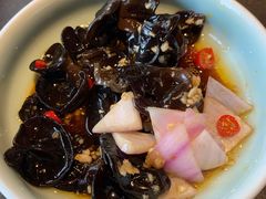 爽口木耳-辣尚瘾·烤鱼·新川菜(交大直营店)