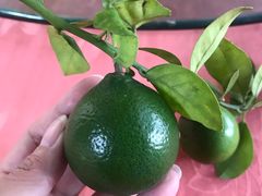 -天强农家菜馆