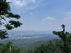 -紫金山山顶公园