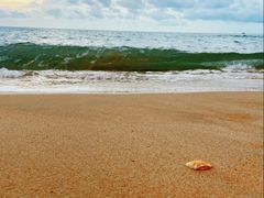 -海南棋子湾开元度假村·祺咖啡自助餐厅