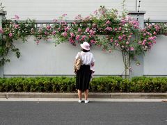 -Macarena 玛卡莲娜西班牙餐厅