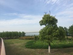 -江滩湿地公园