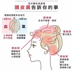 -Bollins波林丝•专研护发中心