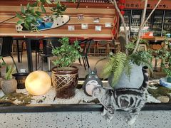 -奉天宴遇烧烤·冒锅