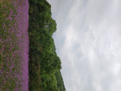 -雪浪山卡丁车俱乐部