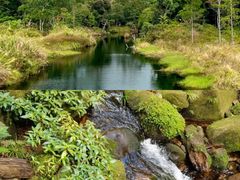 -海南热带雨林国家公园吊罗山景区
