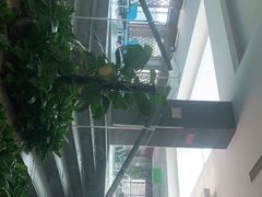 -燕京饭店游泳健身中心(原唐拉雅秀酒店)