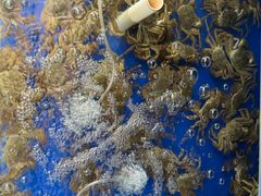 -阳澄湖大闸蟹·琼灵阁牌品牌连锁(吴中总店)