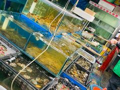 -岳各庄批发市场(西四环中路店)