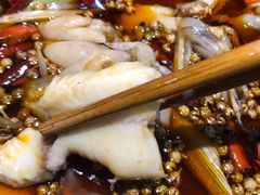 鱼火锅-小门坎三合鱼(总店)