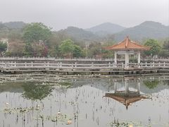 -红山村