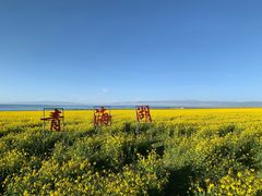 -青海湖国家重点风景名胜区