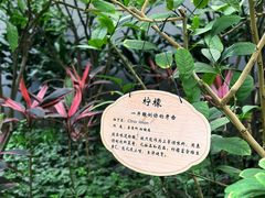 -春满园生态餐厅(南宫路店)