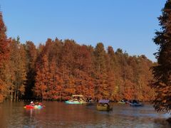 -上海海湾国家森林公园