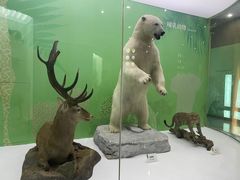 -国家自然博物馆