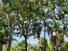 -厦门日月谷温泉渡假村