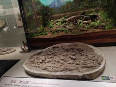 -辽宁古生物博物馆