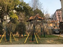 -长沙市青少年宫
