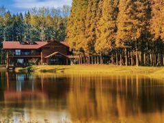 -黄海国家森林公园